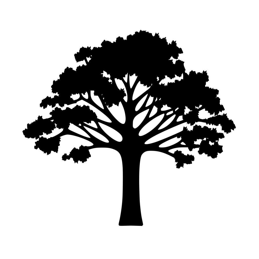 Oak Tree Svg Image For Cricut Silhouette And Laser Machines