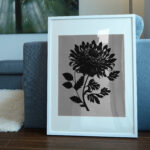 1112_Chrysanthemum_7564-transparent-picture_frame_1.jpg