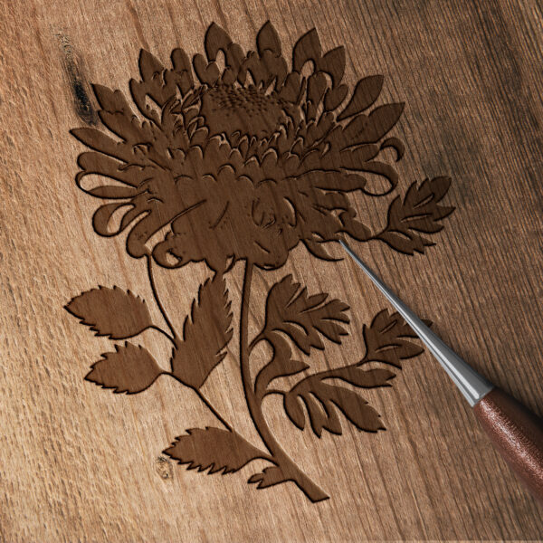 1112_Chrysanthemum_7564-transparent-wood_etching_1.jpg