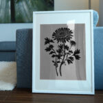 1113_Chrysanthemum_5621-transparent-picture_frame_1.jpg