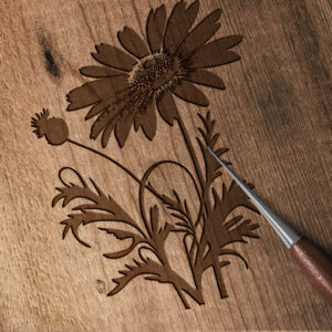 1114_Daisy_1806-transparent-wood_etching_1.jpg