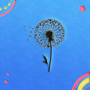 1115_Dandelion_6212-transparent-paper_cut_out_1.jpg