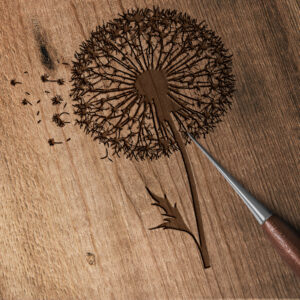 1115_Dandelion_6212-transparent-wood_etching_1.jpg