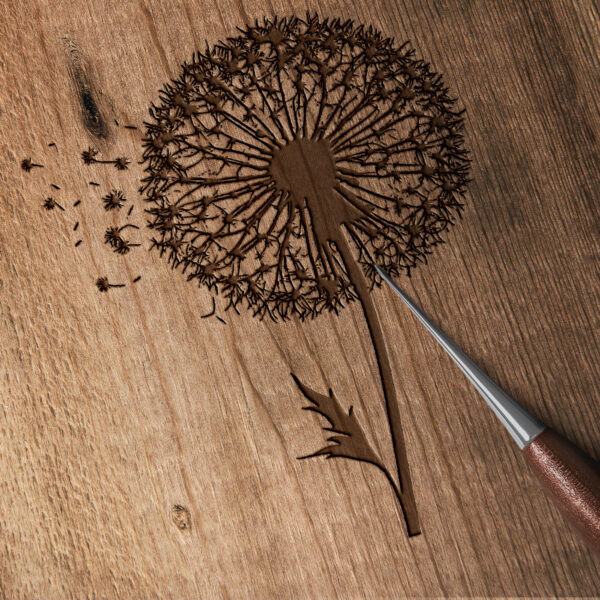 1115_Dandelion_6212-transparent-wood_etching_1.jpg