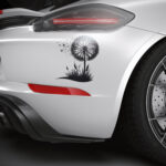 1116_Dandelion_3369-transparent-car_sticker_1.jpg