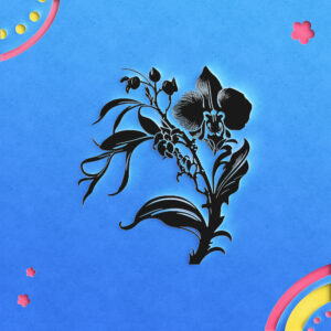 1126_Orchid_3509-transparent-paper_cut_out_1.jpg