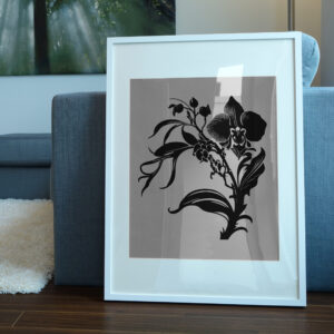 1126_Orchid_3509-transparent-picture_frame_1.jpg