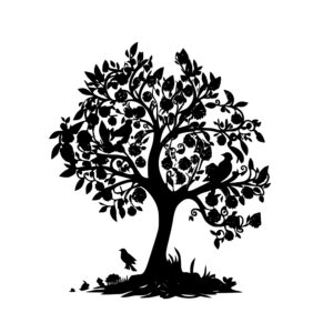 1131_Apple_Tree_3875.jpeg