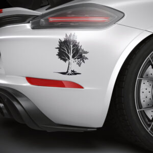 1134_Birch_Tree_4834-transparent-car_sticker_1.jpg