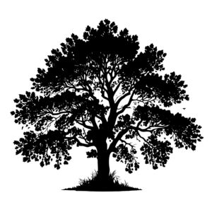 1137_Maple_Tree_8310.jpeg