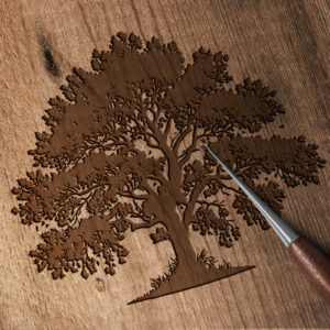 1137_Maple_Tree_8310-transparent-wood_etching_1.jpg