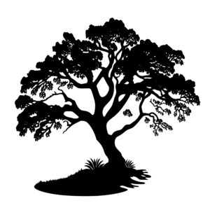 1139_Oak_Tree_5309.jpeg