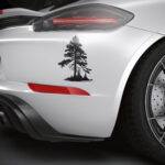 1141_Pine_Tree_9714-transparent-car_sticker_1.jpg