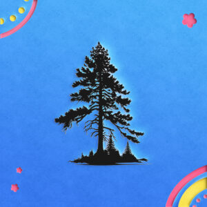 1141_Pine_Tree_9714-transparent-paper_cut_out_1.jpg