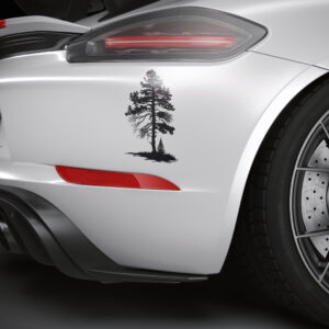 1142_Pine_Tree_2794-transparent-car_sticker_1.jpg