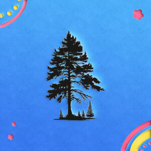 1143_Pine_Tree_7155-transparent-paper_cut_out_1.jpg