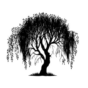 1145_Willow_Tree_2061.jpeg