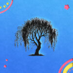 1145_Willow_Tree_2061-transparent-paper_cut_out_1.jpg