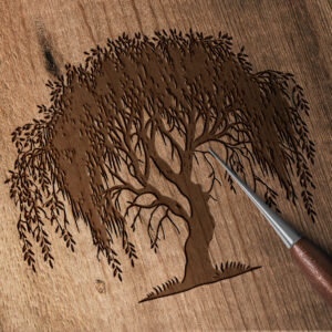 1145_Willow_Tree_2061-transparent-wood_etching_1.jpg