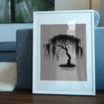 1147_Willow_Tree_8277-transparent-picture_frame_1.jpg