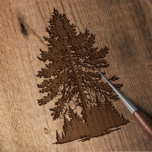 1152_Spruce_Tree_3628-transparent-wood_etching_1.jpg
