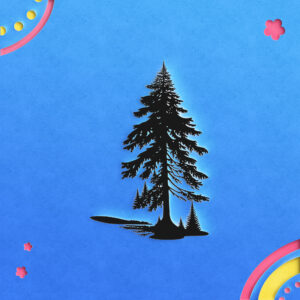 1153_Spruce_Tree_1508-transparent-paper_cut_out_1.jpg