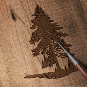 1153_Spruce_Tree_1508-transparent-wood_etching_1.jpg