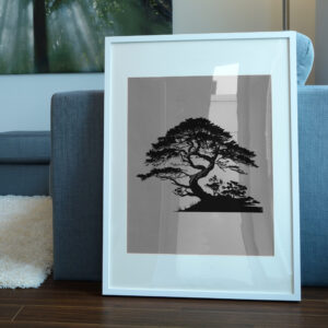 1155_Yew_Tree_8935-transparent-picture_frame_1.jpg