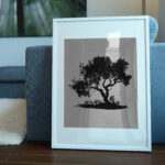 1157_Olive_Tree_8974-transparent-picture_frame_1.jpg