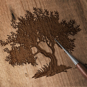 1159_Olive_Tree_3688-transparent-wood_etching_1.jpg