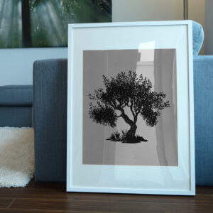 1160_Olive_Tree_2007-transparent-picture_frame_1.jpg