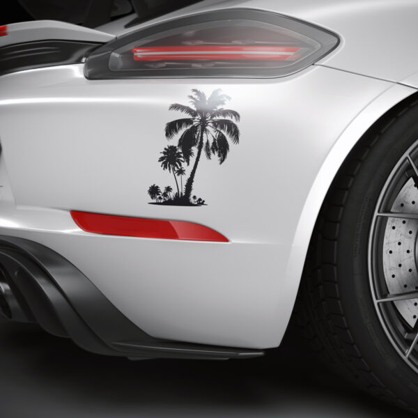 1162_Palm_Tree_6769-transparent-car_sticker_1.jpg