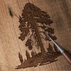 1164_Sequoia_Tree_4623-transparent-wood_etching_1.jpg