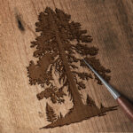 1165_Sequoia_Tree_2429-transparent-wood_etching_1.jpg