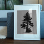 1166_Spruce_Tree_8270-transparent-picture_frame_1.jpg