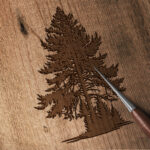 1166_Spruce_Tree_8270-transparent-wood_etching_1.jpg