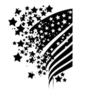 1195_Stars_and_stripes_7980.jpeg