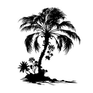 1369_Palm_tree_7678.jpeg