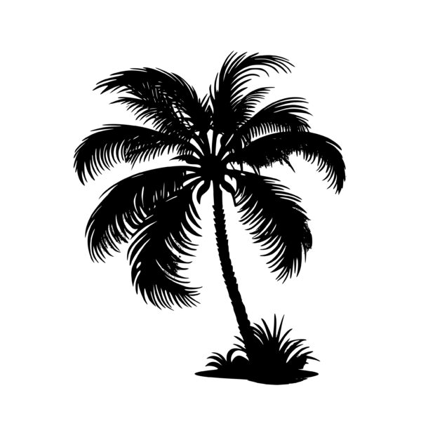 1370_Palm_tree_3175.jpeg