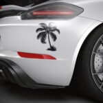 1370_Palm_tree_3175-transparent-car_sticker_1.jpg