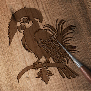 1417_Pirate_parrot_7031-transparent-wood_etching_1.jpg