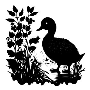 1440_The_Ugly_Duckling_5502.jpeg
