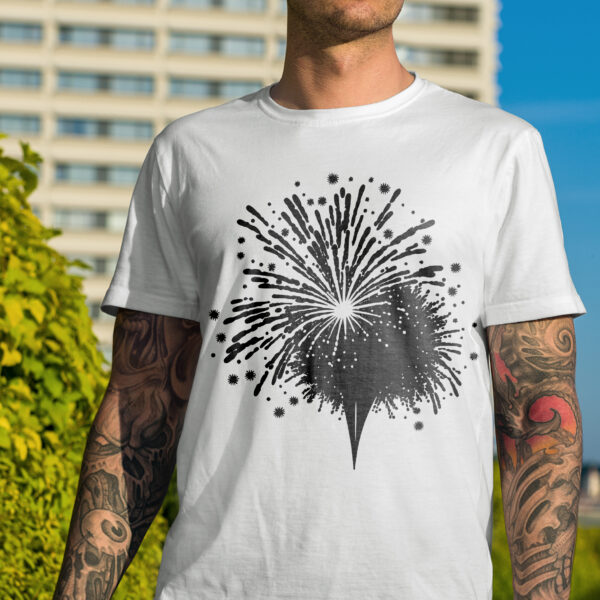 1508_New_Years_Eve_fireworks_7816-transparent-tshirt_1.jpg