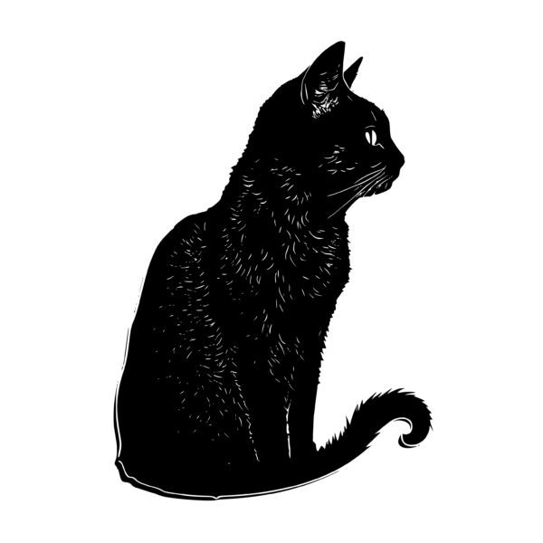 1545_Black_cat_8408.jpeg