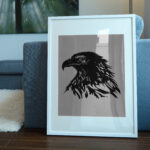 1567_Bald_eagle_1517-transparent-picture_frame_1.jpg