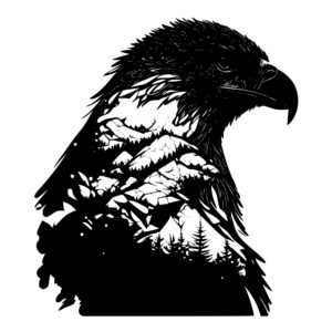 1568_Bald_eagle_5613.jpeg
