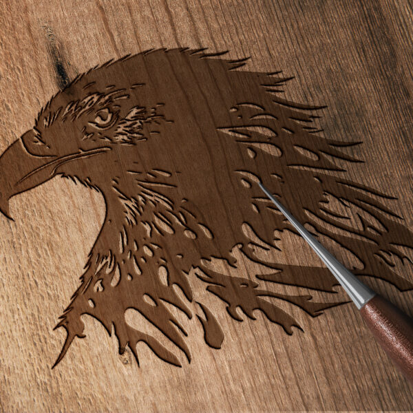 1569_Bald_eagle_6653-transparent-wood_etching_1.jpg