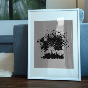 1573_Fireworks_1816-transparent-picture_frame_1.jpg