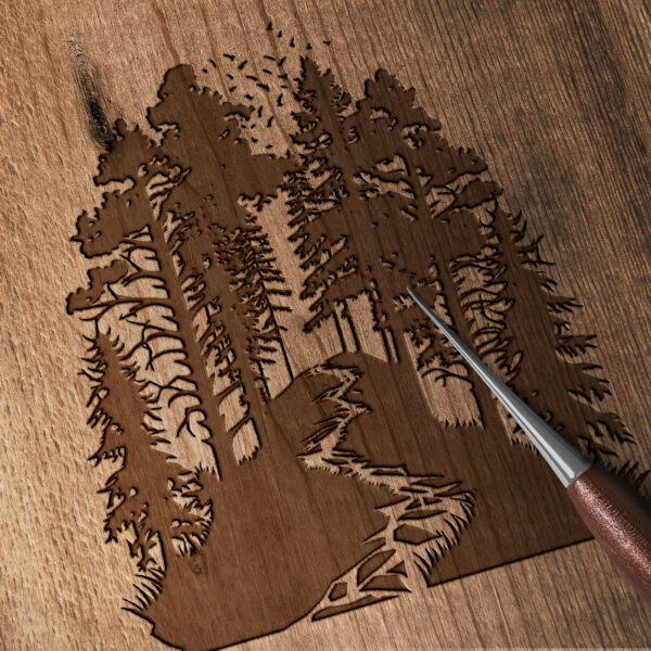 1607_Forest_trail_8063-transparent-wood_etching_1.jpg