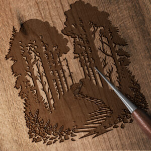 1608_Forest_trail_9316-transparent-wood_etching_1.jpg